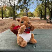 Load image into Gallery viewer, Ole Miss Alumni Association Rally Squirrel Plush