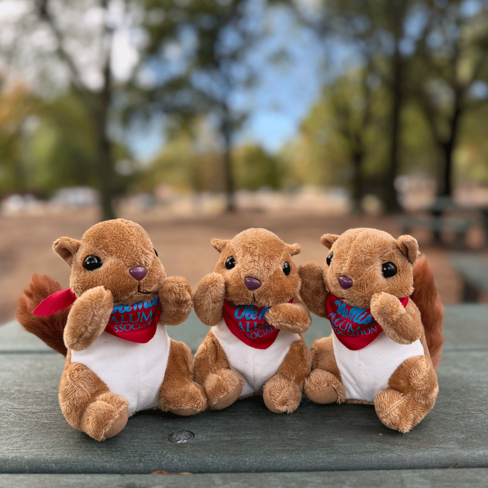Ole Miss Alumni Association Rally Squirrel Plush – Ole Miss Alumni