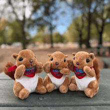 Load image into Gallery viewer, Ole Miss Alumni Association Rally Squirrel Plush